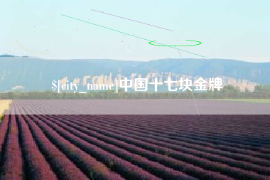 遵义中国十七块金牌
