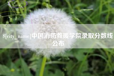 遵义中国消防救援学院录取分数线公布