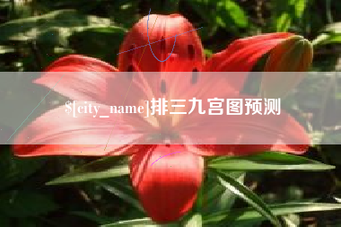 遵义排三九宫图预测