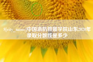 遵义中国消防救援学院山东2020年录取分数线是多少