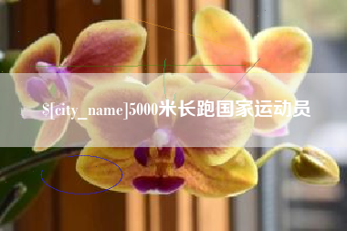 遵义5000米长跑国家运动员