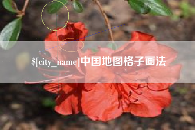 遵义中国地图格子画法