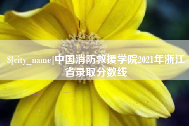 遵义中国消防救援学院2021年浙江省录取分数线