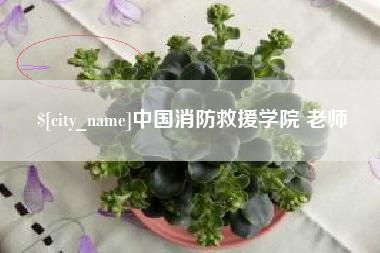 遵义中国消防救援学院 老师