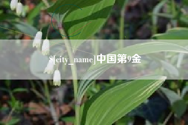 遵义中国第9金