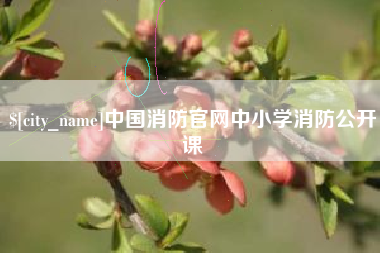 遵义中国消防官网中小学消防公开课