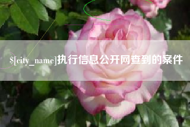 遵义执行信息公开网查到的案件