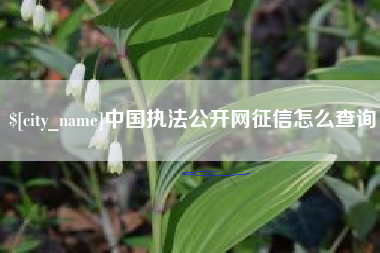遵义中国执法公开网征信怎么查询