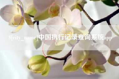 遵义中国执行记录查询系统app