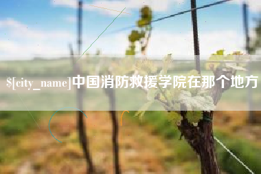 遵义中国消防救援学院在那个地方