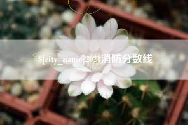 遵义2021消防分数线