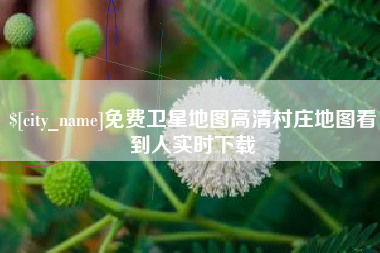 遵义免费卫星地图高清村庄地图看到人实时下载