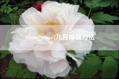 遵义九宫排盘方法