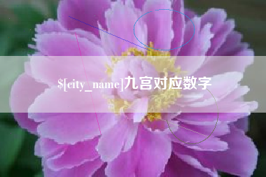 遵义九宫对应数字