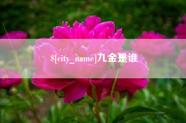 遵义九金是谁