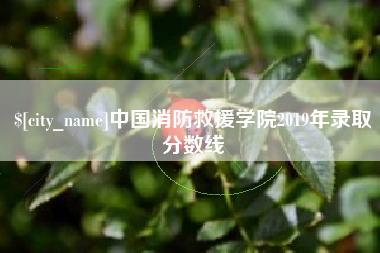 遵义中国消防救援学院2019年录取分数线