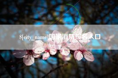 遵义国家消防报名入口