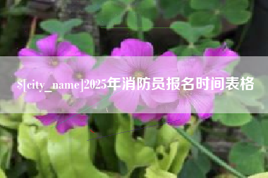 遵义2025年消防员报名时间表格