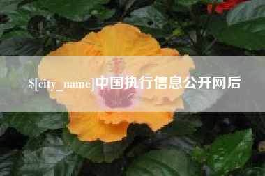 遵义中国执行信息公开网后