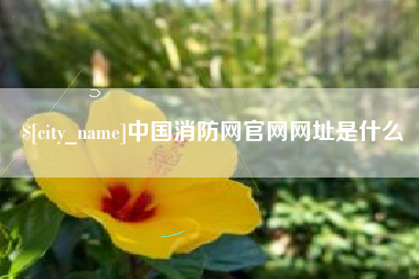 遵义中国消防网官网网址是什么