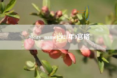 遵义2021年9宫格