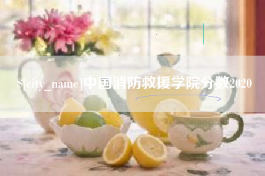 遵义中国消防救援学院分数2020