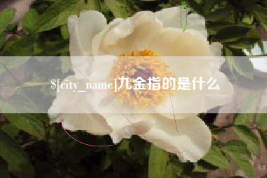 遵义九金指的是什么