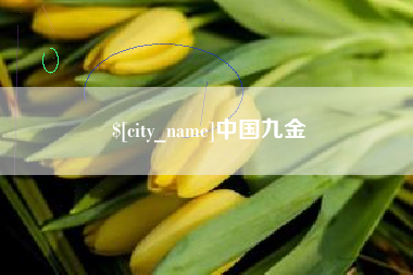 遵义中国九金
