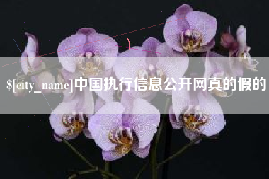 遵义中国执行信息公开网真的假的