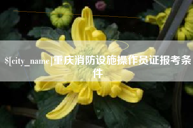 遵义重庆消防设施操作员证报考条件