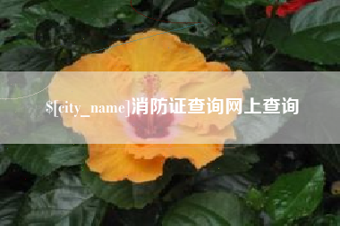 遵义消防证查询网上查询