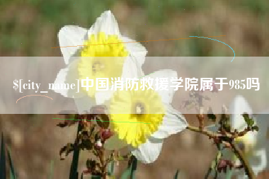遵义中国消防救援学院属于985吗