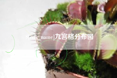 遵义九宫格分布图