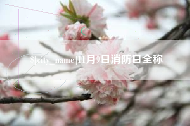 遵义11月9日消防日全称