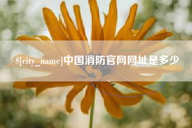 遵义中国消防官网网址是多少
