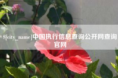遵义中国执行信息查询公开网查询官网