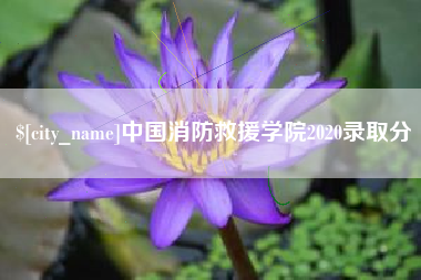 遵义中国消防救援学院2020录取分