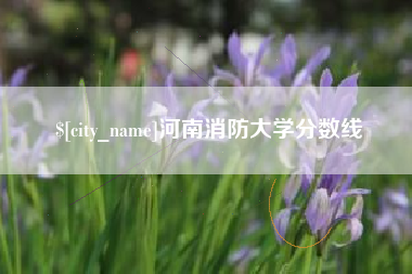 遵义河南消防大学分数线