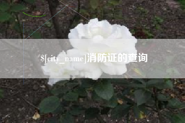 遵义消防证的查询