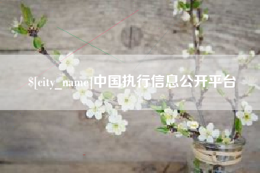 遵义中国执行信息公开平台