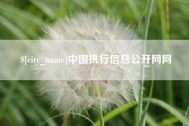遵义中国执行信息公开网网