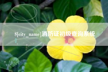 遵义消防证初级查询系统