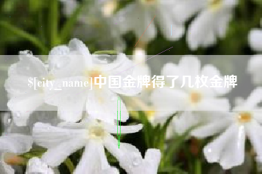 遵义中国金牌得了几枚金牌