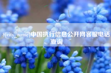 遵义中国执行信息公开网客服电话查询