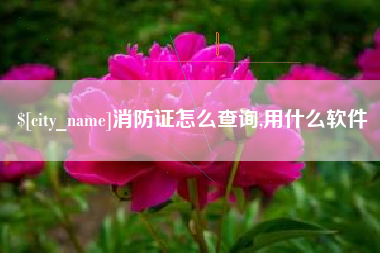 遵义消防证怎么查询,用什么软件