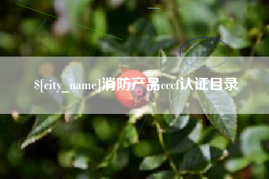 遵义消防产品cccf认证目录