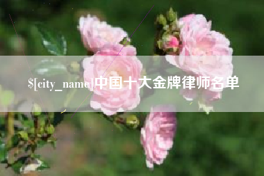 遵义中国十大金牌律师名单