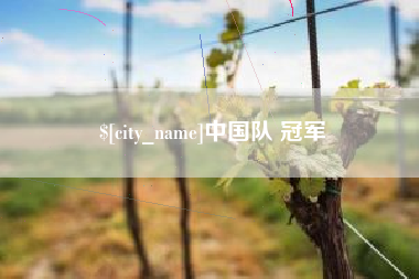 遵义中国队 冠军