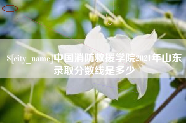 遵义中国消防救援学院2021年山东录取分数线是多少
