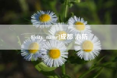 遵义成都 消防